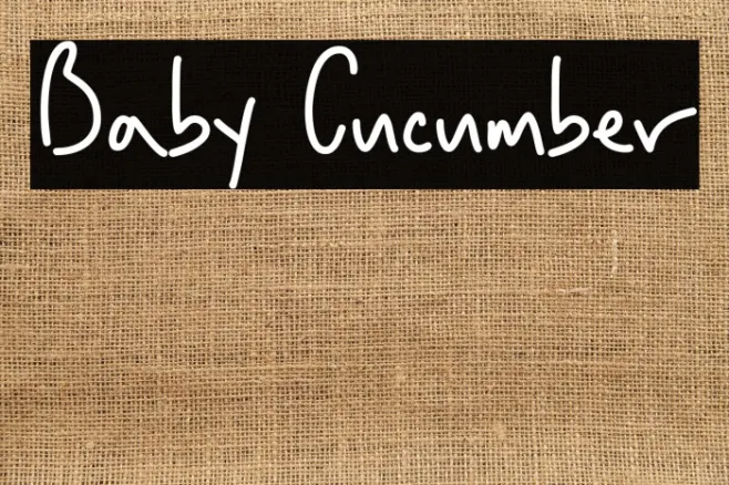 Baby Cucumber Example 1