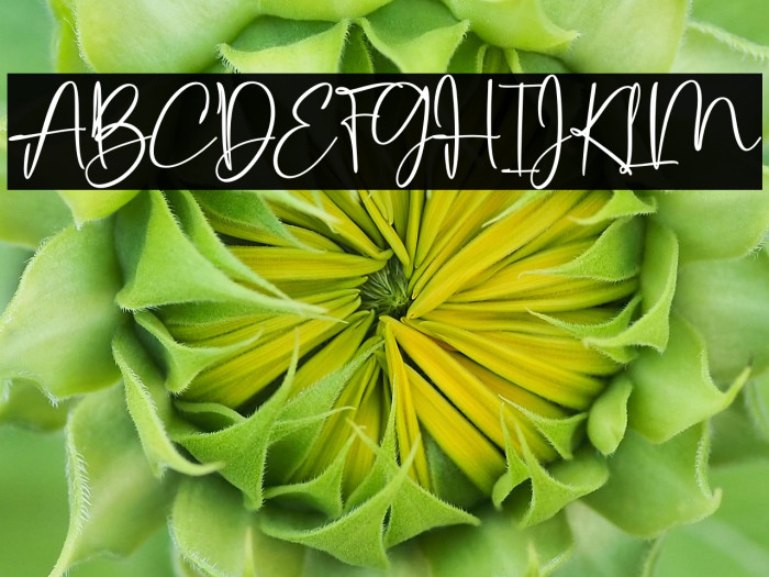 Baby Dandelia Demo Example 2