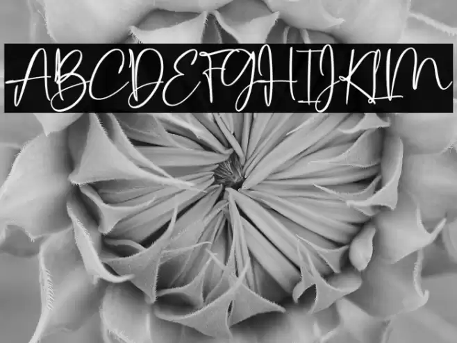 Baby Dandelia Demo फ़ॉन्ट examples