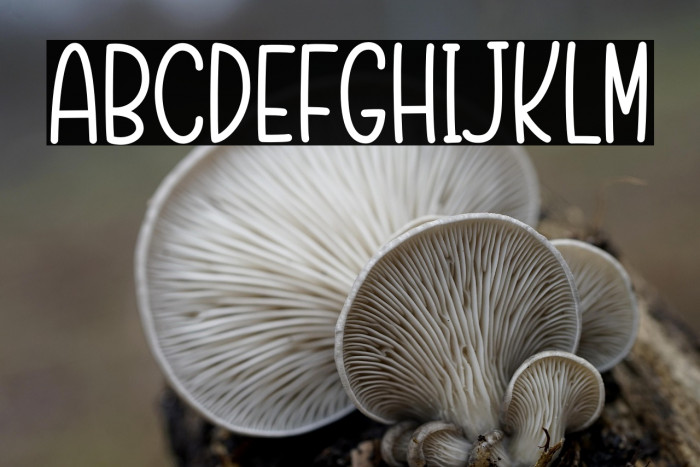 Baby Danilla Example 3