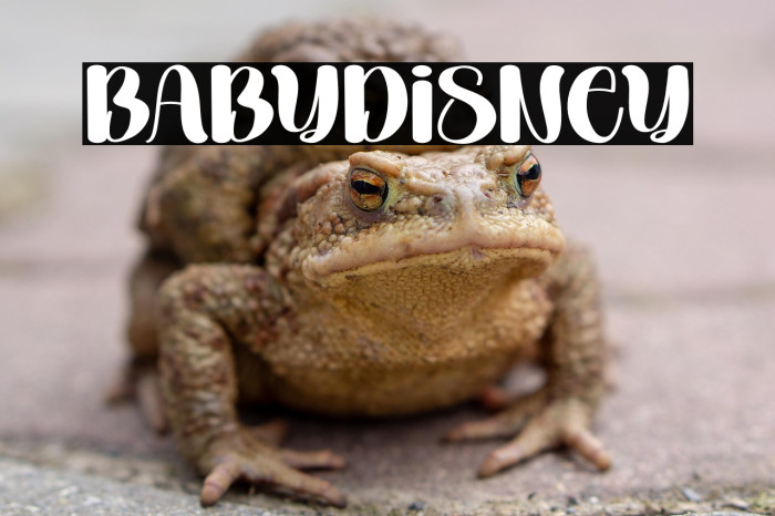 Baby Disney Example 3