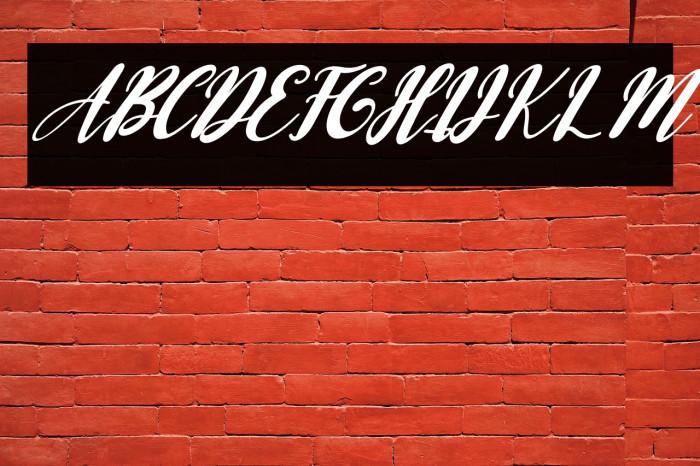 Baby Doll Italic Example 3