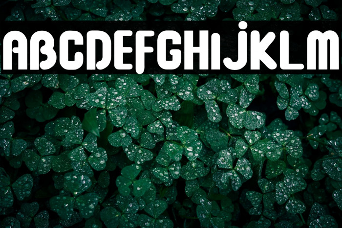 Baby Dollar ll Example 3