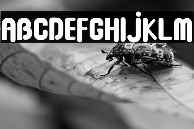 Baby Dollar Font examples