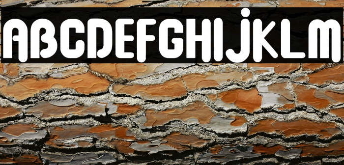 Baby Dollar Example 2