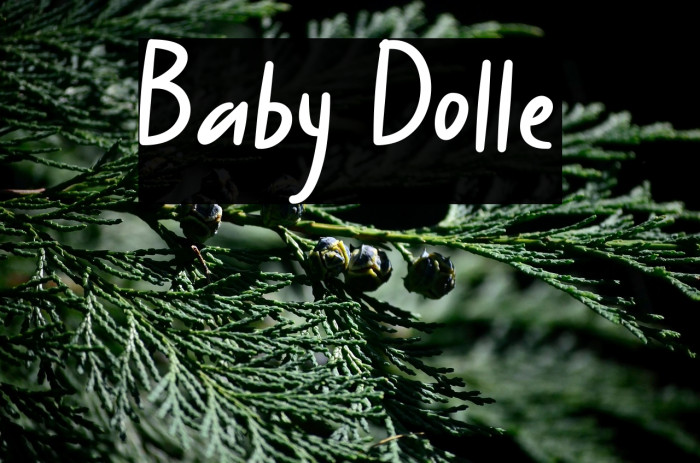 Baby Dolle Example 2