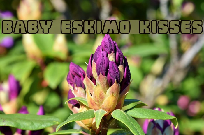 Baby Eskimo Kisses Font examples