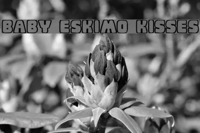 Baby Eskimo Kisses Schriftart examples
