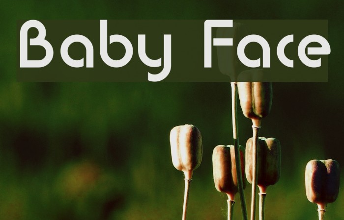 Baby Face Fonte examples
