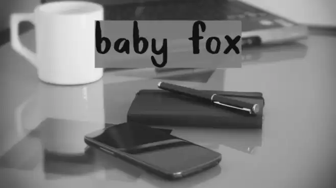 Baby Fox Font examples