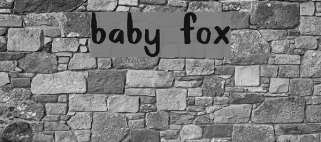 Baby Fox Font examples