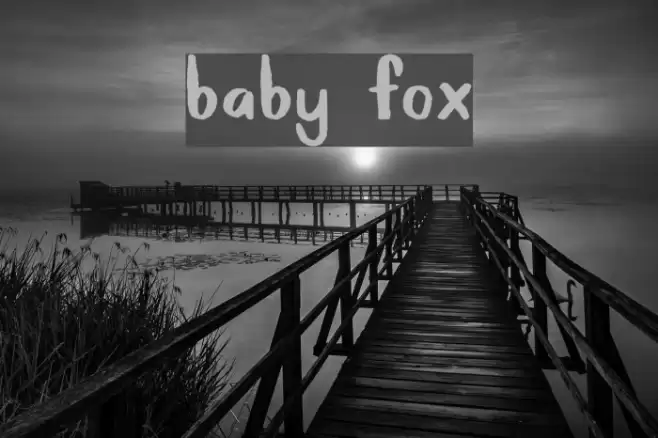 Baby Fox Font examples