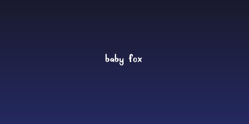 Baby Fox Social Header