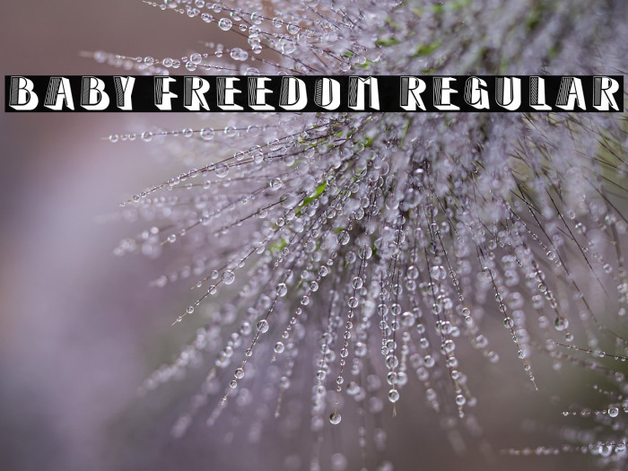 Baby Freedom Regular Example 2