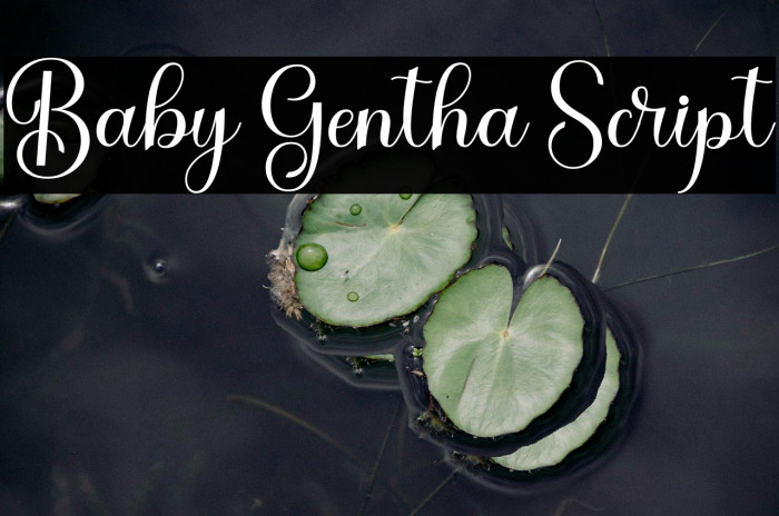 Baby Gentha Script Example 3