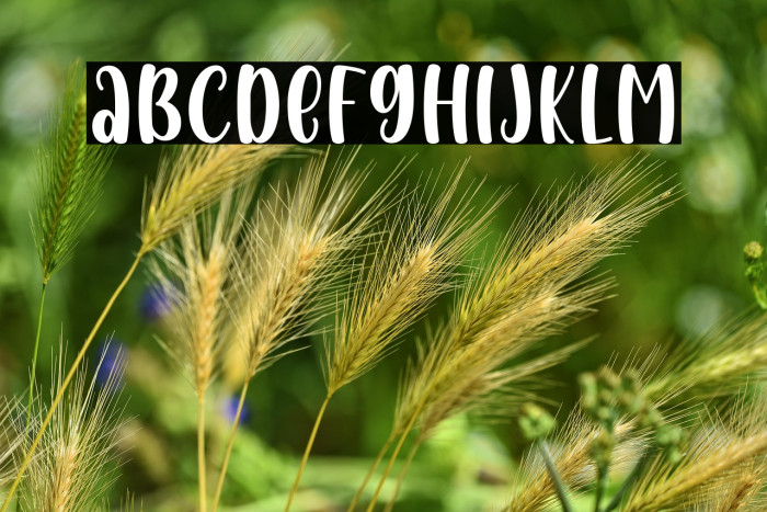 Baby Girl Display Example 3