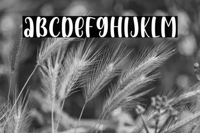 Baby Girl Display Font examples