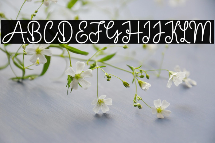 Baby Girl Monoline Example 1