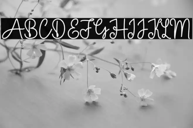 Baby Girl Monoline Font examples