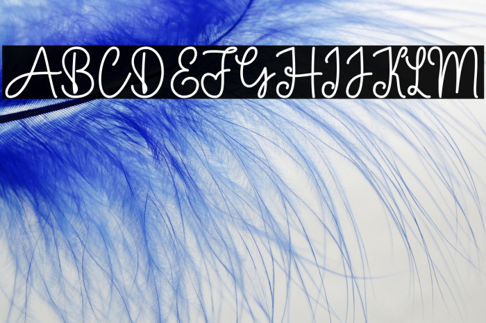 Baby Girl Monoline Example 2