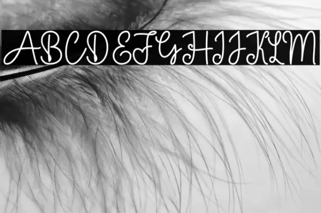 Baby Girl Monoline Font examples