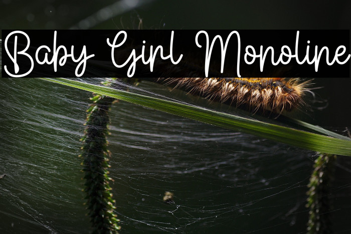 Baby Girl Monoline Example 2