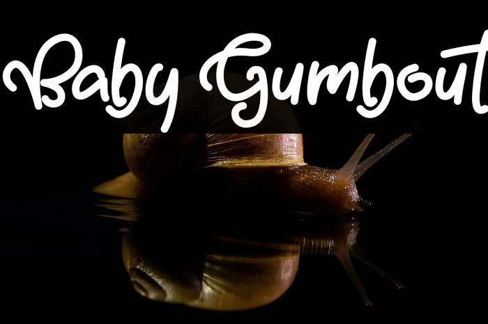 Baby Gumbout Example 1