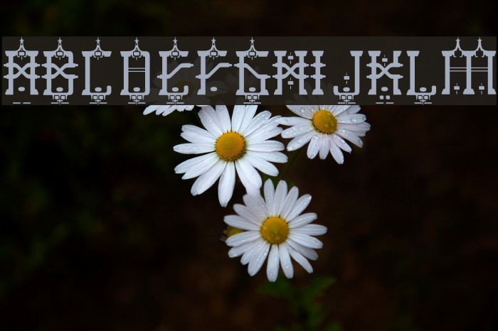 Baby Jeepers Font examples