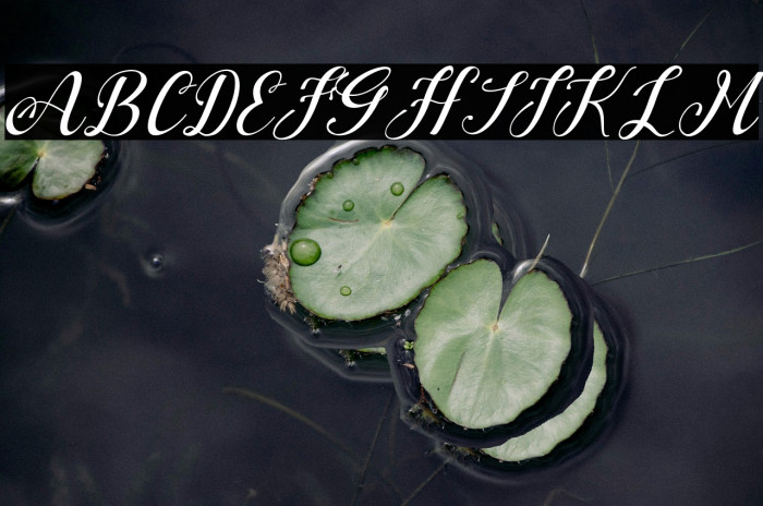 Baby Lelucky Example 3