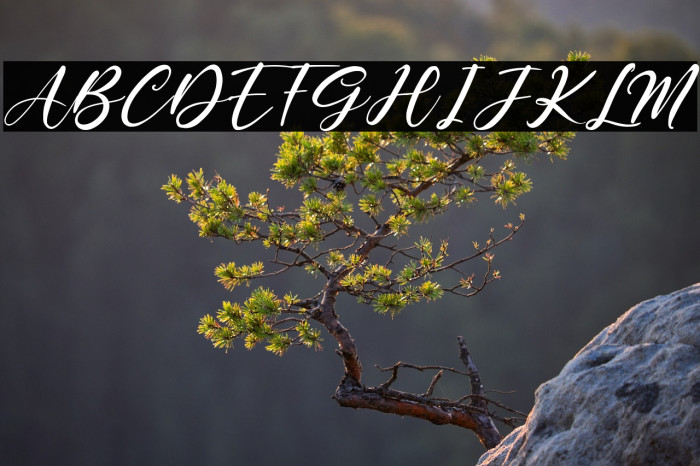 Baby Lovely Example 3