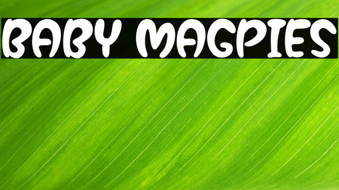 Baby Magpies Example 1