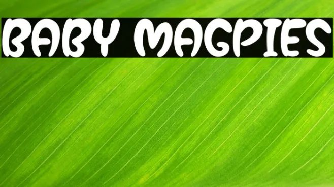 Baby Magpies Example 1