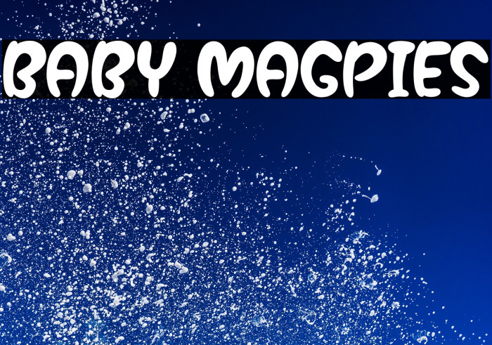 Baby Magpies Example 2