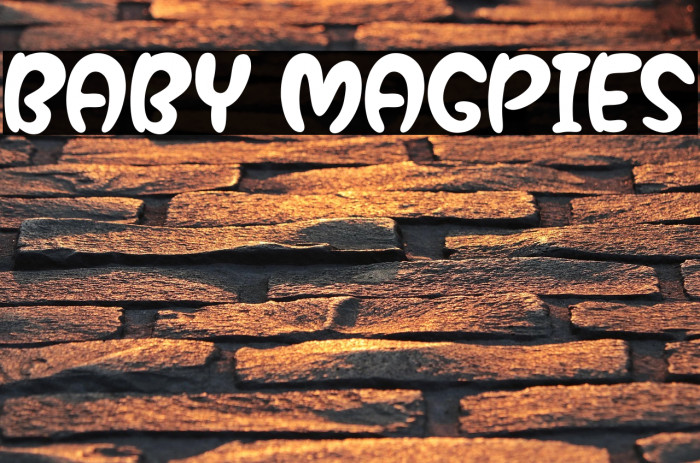 Baby Magpies Example 3