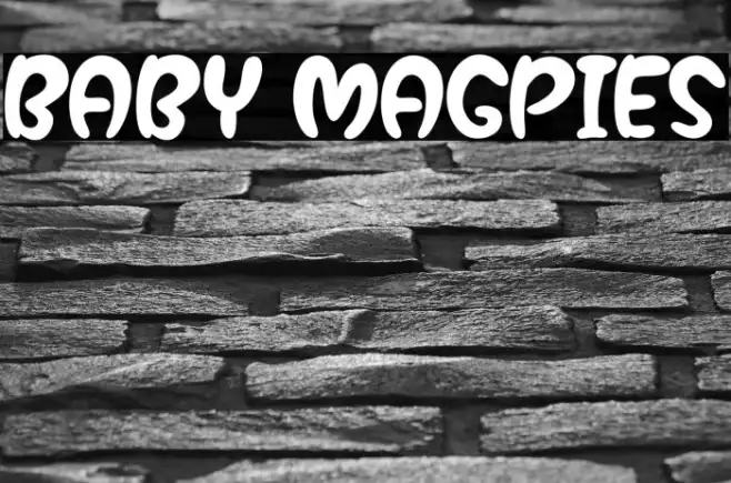 Baby Magpies Example 3