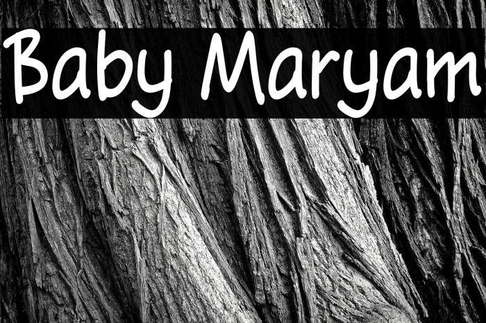 Baby Maryam Example 2