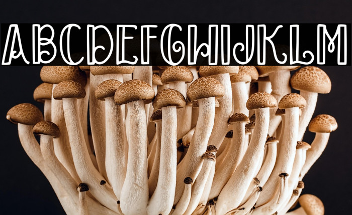 Baby Mayora Slab Example 1