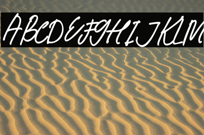 Baby Mollusca Example 1