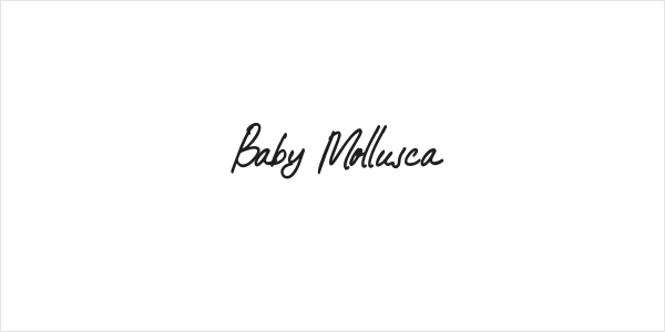 Baby Mollusca Logo