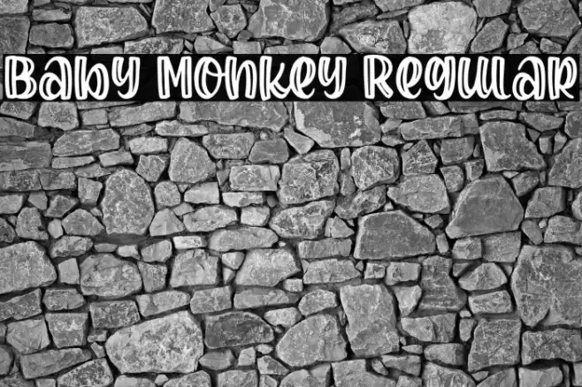 Baby Monkey Regular Example 1
