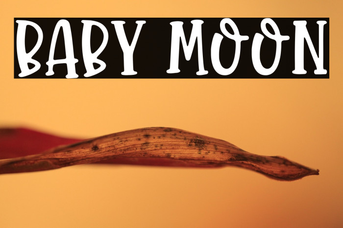 Baby Moon Example 1