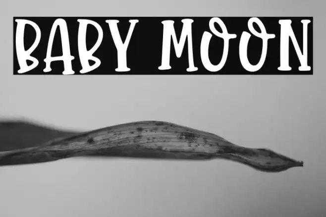 Baby Moon Example 1