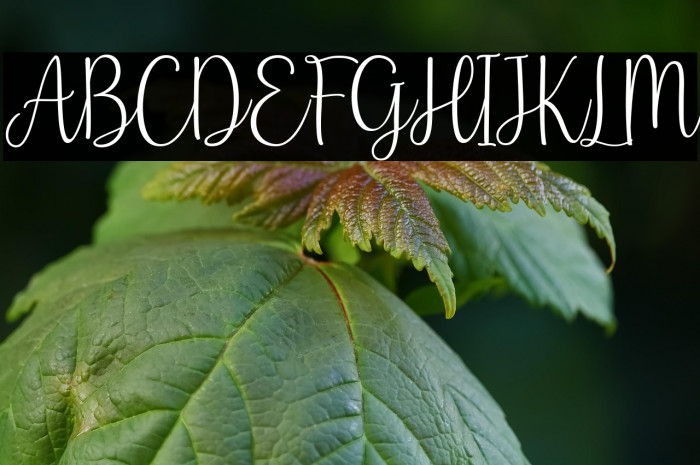 Baby Names Example 3