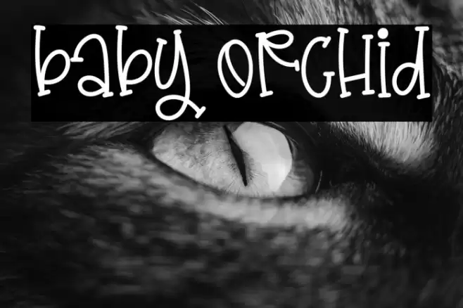 Baby Orchid Font examples