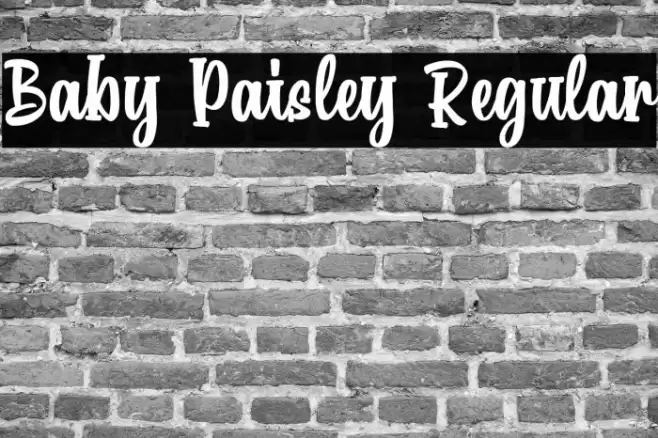 Baby Paisley Regular Font examples