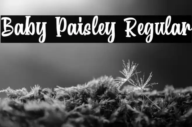 Baby Paisley Regular Font examples