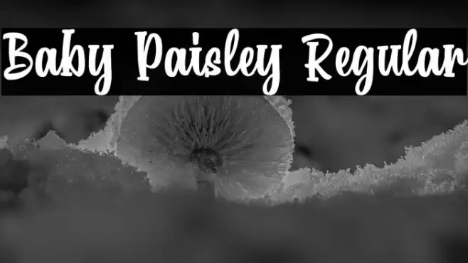 Baby Paisley Regular Font examples