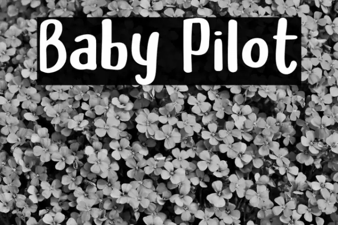 Baby Pilot Fuentes examples