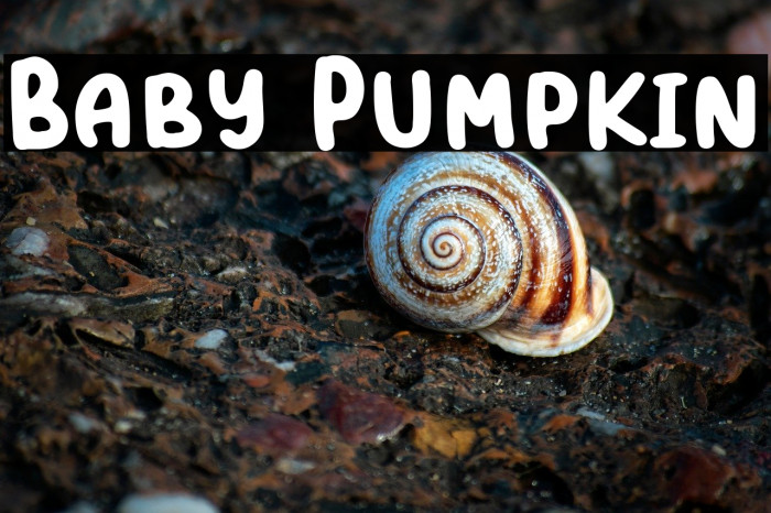 Baby Pumpkin Example 1