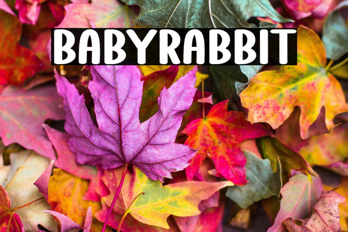 Baby Rabbit Example 2